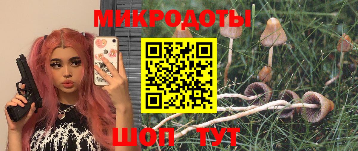 Псилоцибиновые грибы мицелий  Вход с VPN  Галлюциногенные грибы мицелий  Сызрань 
